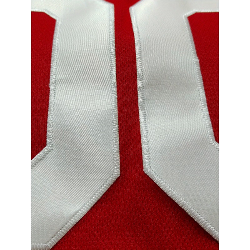 Jersey Basket Nama dan Nomor y - Embroidery Names ulasan dan harga